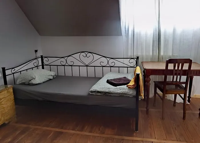 Dom Pracy Tworczej Muchomorek 招待所 *